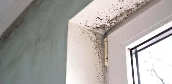 Photo of mold contamination at a door jamb