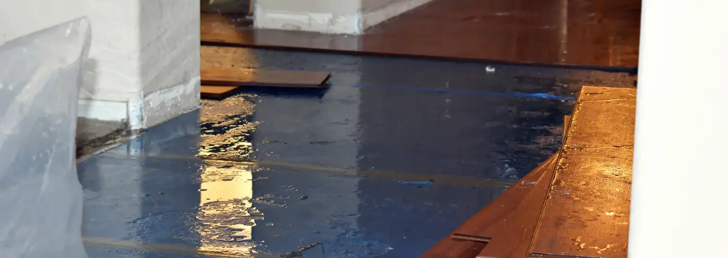 Photo of a water damaged floor