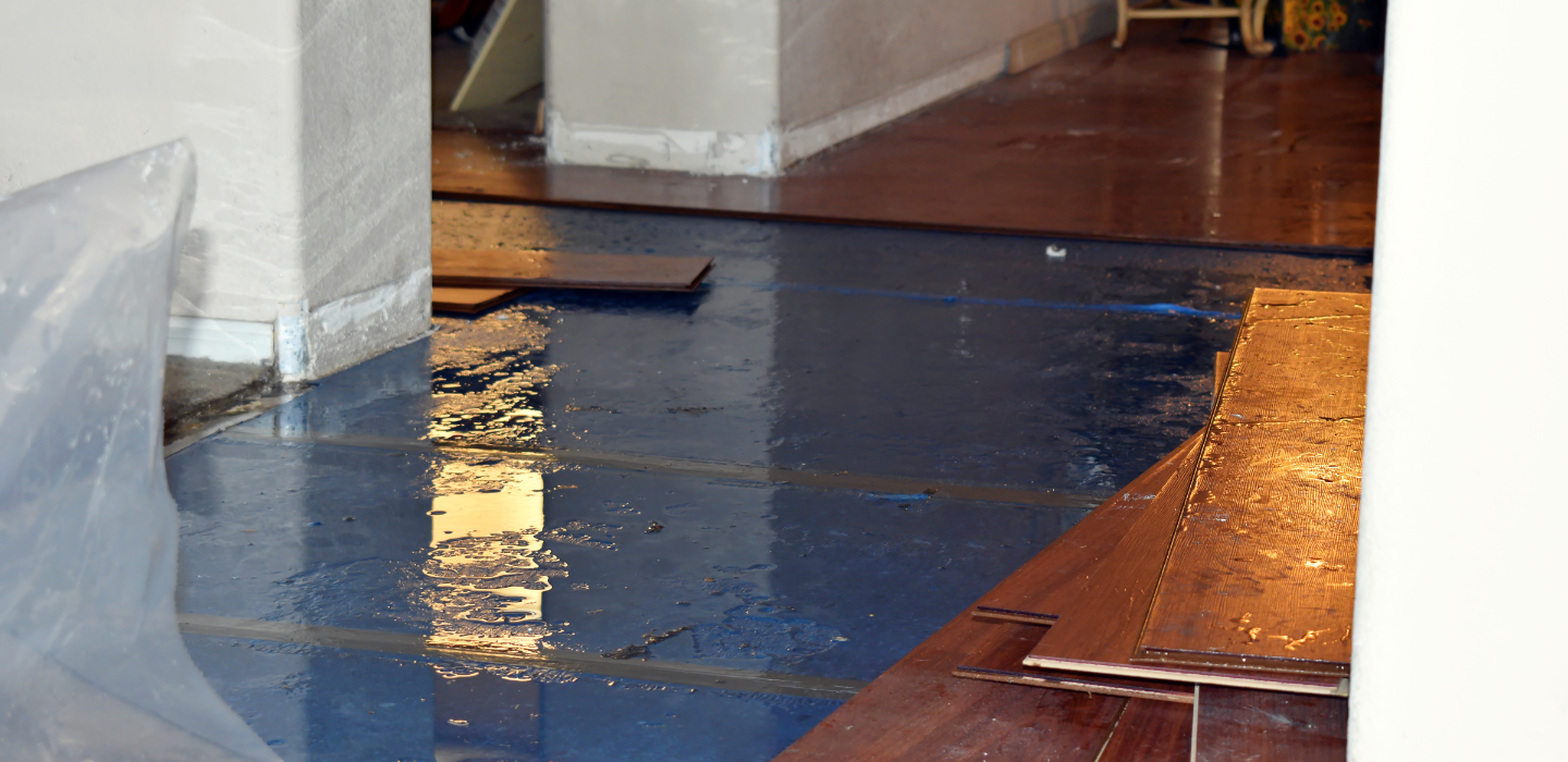 A photo of water damage occurring on a wood floor