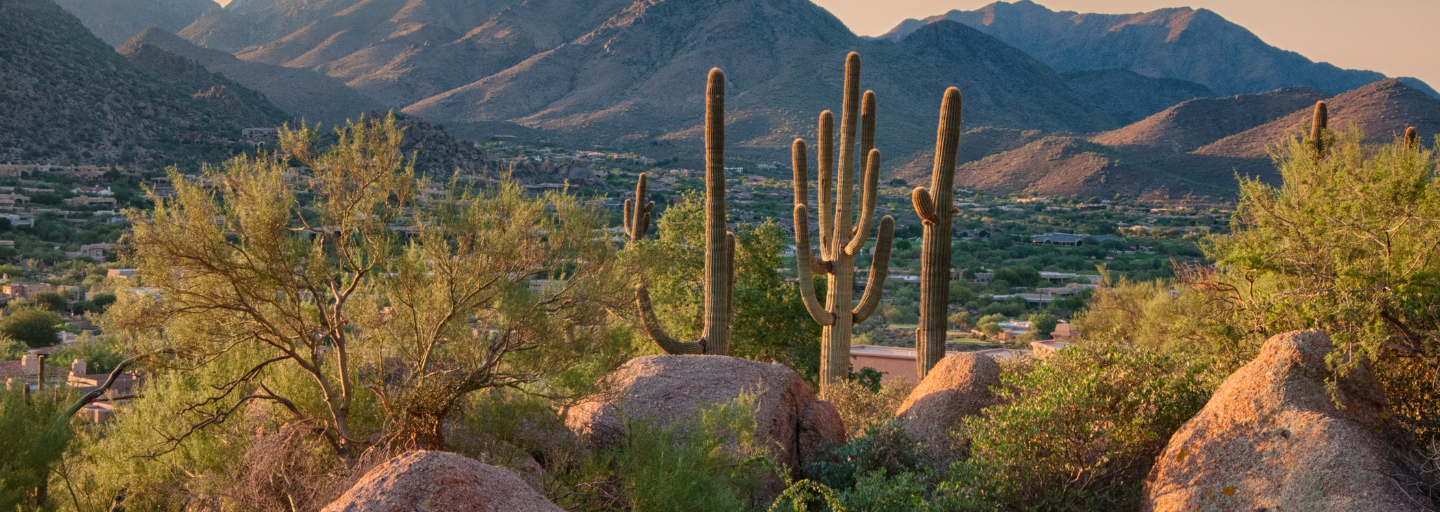 Photo of a desert vista