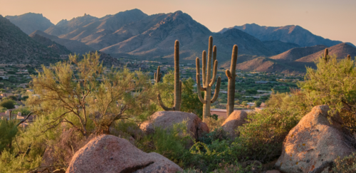 Photo of a desert vista