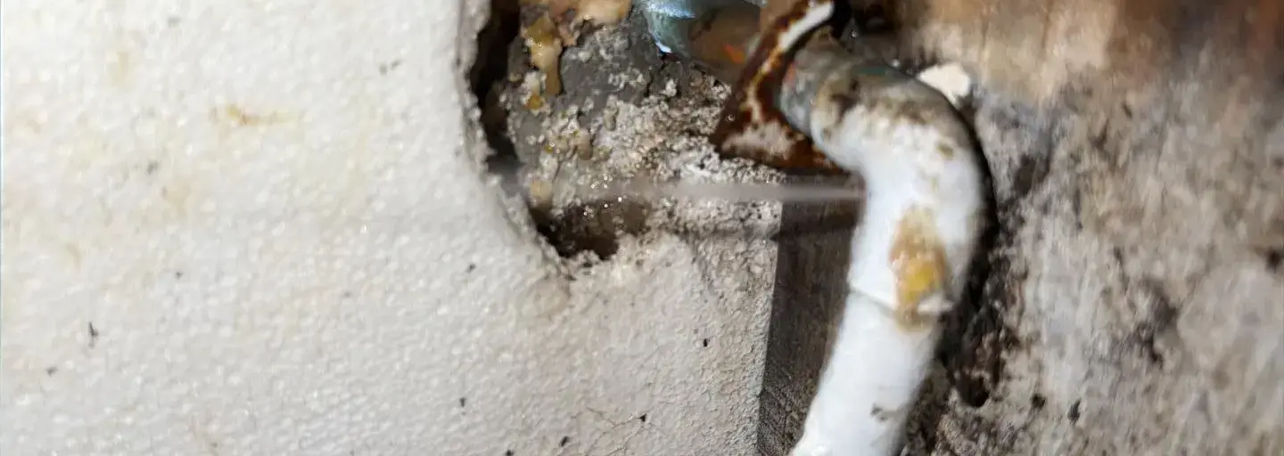 Leaky Pipe - Blacktail Restoration